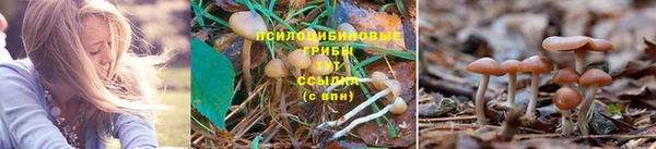 МДМА Абаза