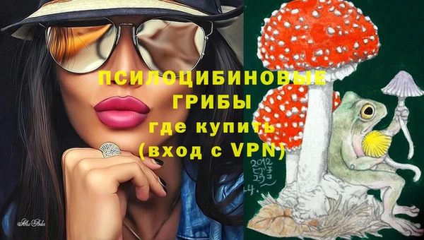 шишки Абинск