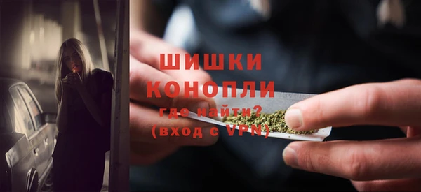 сатива Кукмор