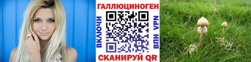 Псилоцибиновые грибы Cubensis blacksprut tor Смоленск